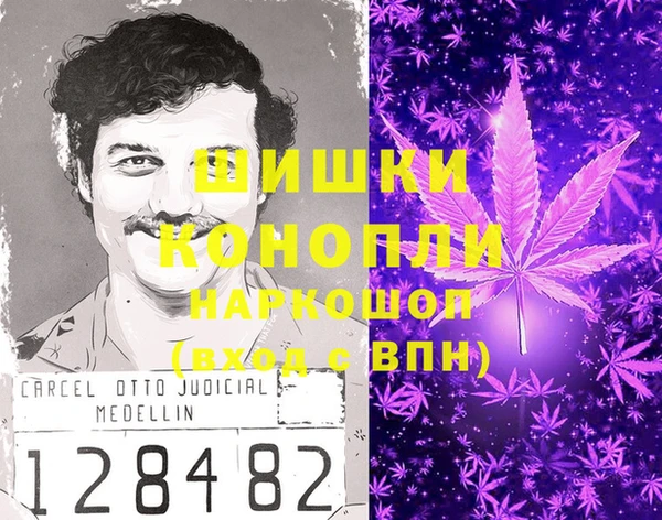 сатива Волоколамск