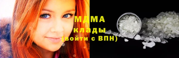 сатива Волоколамск