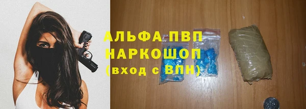 сатива Волоколамск