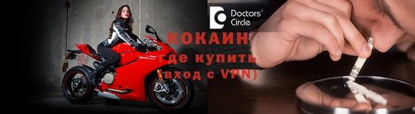 сатива Волоколамск