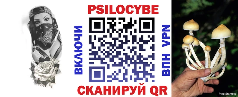 Псилоцибиновые грибы Psilocybine cubensis  сайты даркнета наркотические препараты  Пушкино 